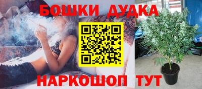 индика Мариинск