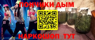 индика Мариинск