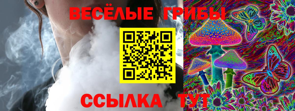 Псилоцибиновые грибы GOLDEN TEACHER Тавда